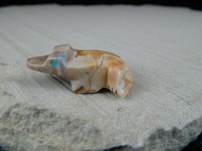 Frog Zuni Fetish Carving - Elvert Lamy - High Lonesome Trading