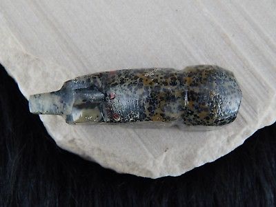 Bear Zuni Fetish Carving - Native American - High Lonesome Trading