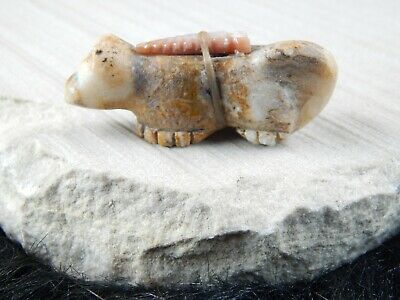 Lion Zuni Fetish Carving - Jeffery Yunie - High Lonesome Trading