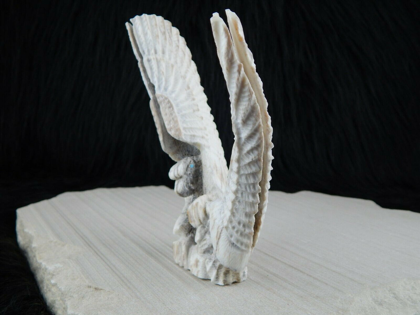 Eagle Zuni Fetish Carving - Jerrold Lahaleon - High Lonesome Trading
