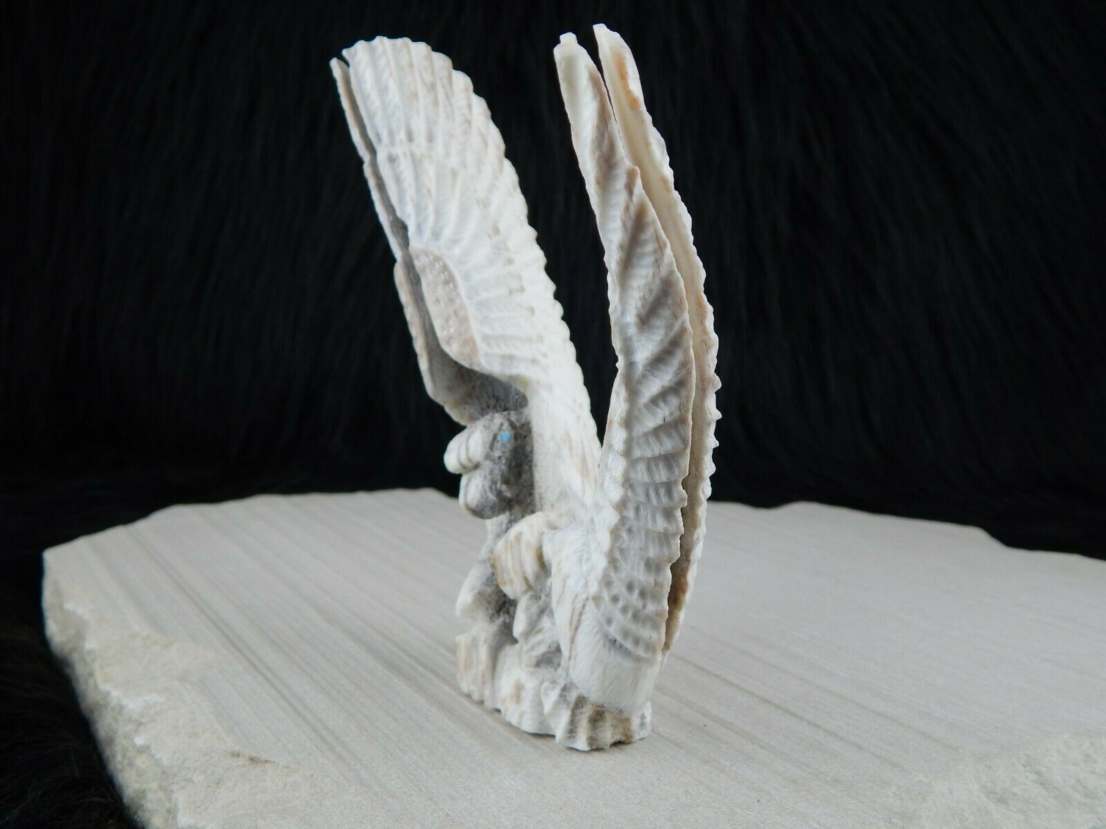 Eagle Zuni Fetish Carving - Jerrold Lahaleon - High Lonesome Trading