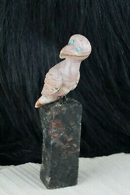 Bird Zuni Fetish Carving- Taylor Gia - High Lonesome Trading