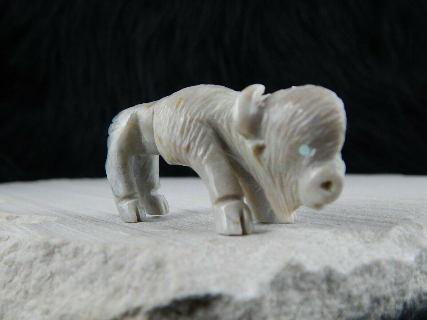 Buffalo Zuni Fetish Carving - Jonas Hastito - High Lonesome Trading