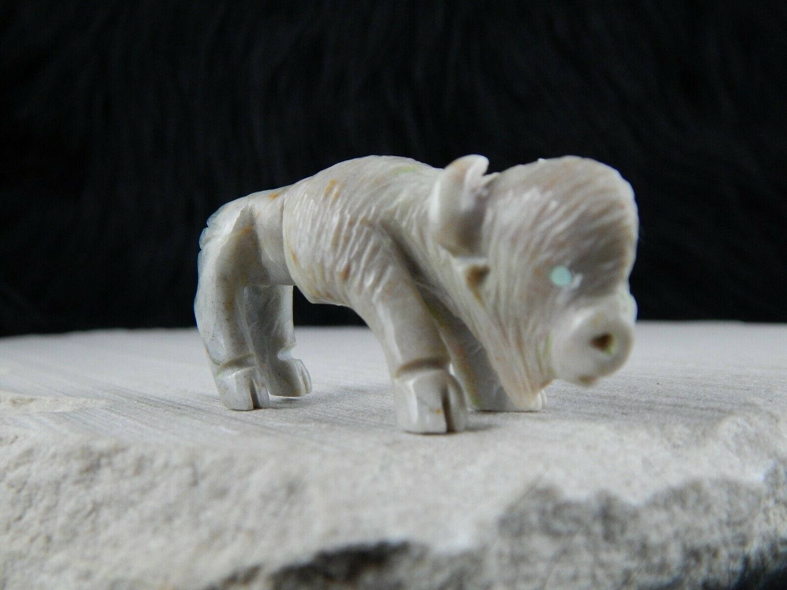 Buffalo Zuni Fetish Carving - Jonas Hastito - High Lonesome Trading