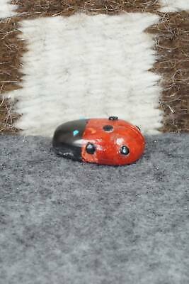Lady Bug Zuni Fetish Carving - Reynold Lunasee