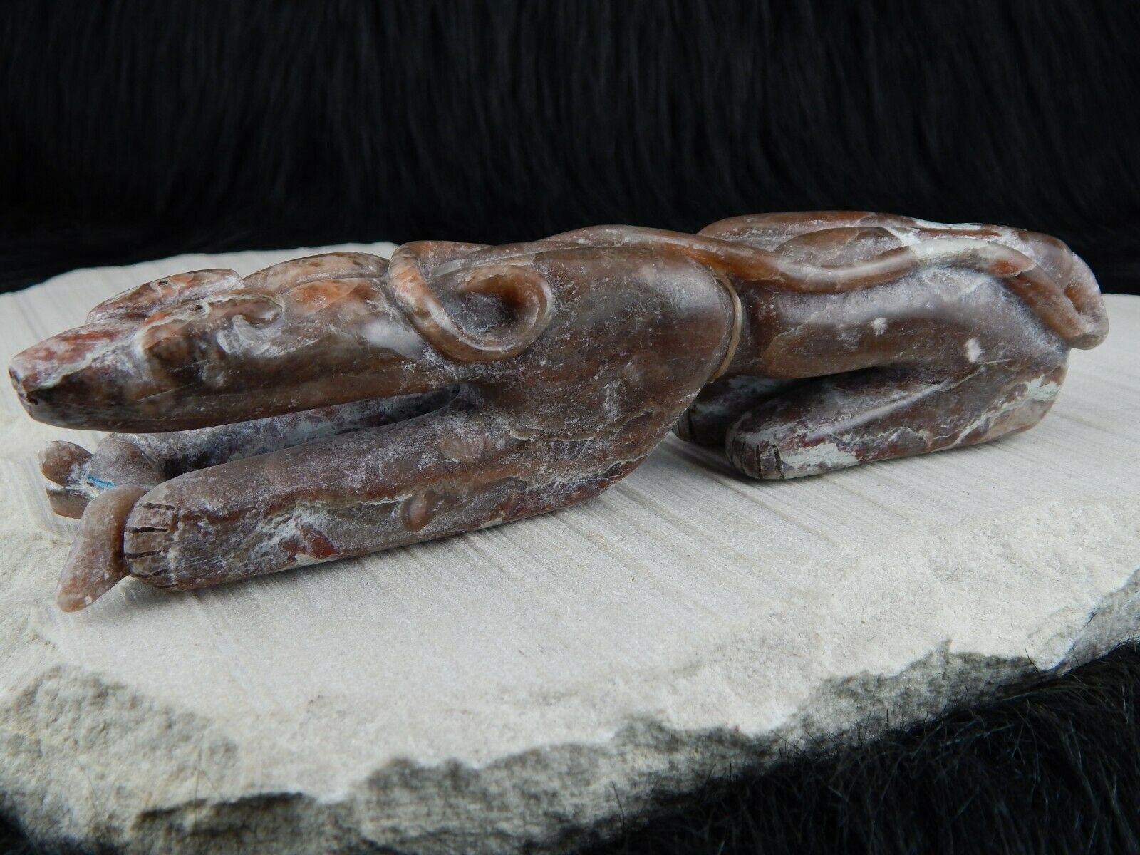 Bear Zuni Fetish Carving - Rick Kallestewa - High Lonesome Trading