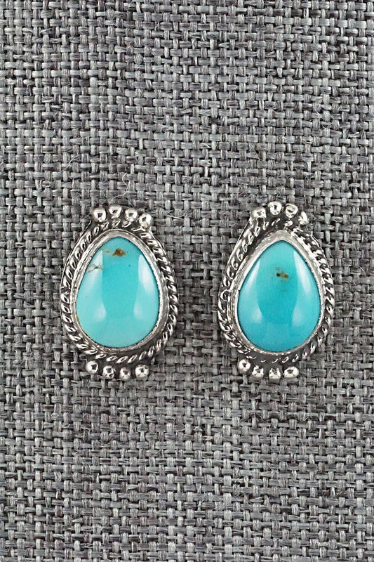 Turquoise & Sterling Silver Earrings - Jan Mariano
