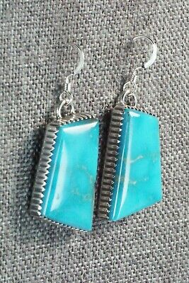 Turquoise & Sterling Silver Earrings - Alvin Joe