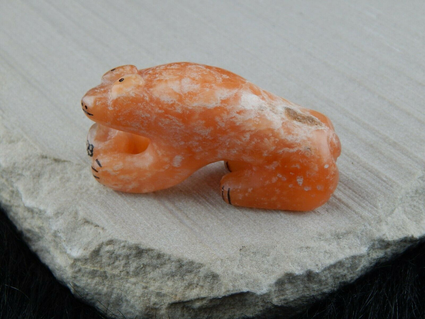 Bear Zuni Fetish Carving - Rickson Kallestewa - High Lonesome Trading