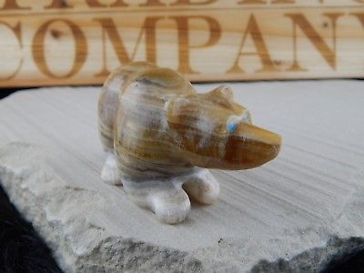 Bear Zuni Fetish Carving - Nelson Yatsattie - High Lonesome Trading