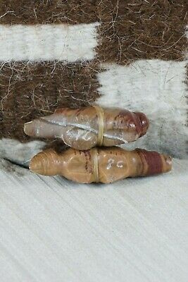 Bear and Wolf Zuni Fetish Carving - Peter Gasper - High Lonesome Trading