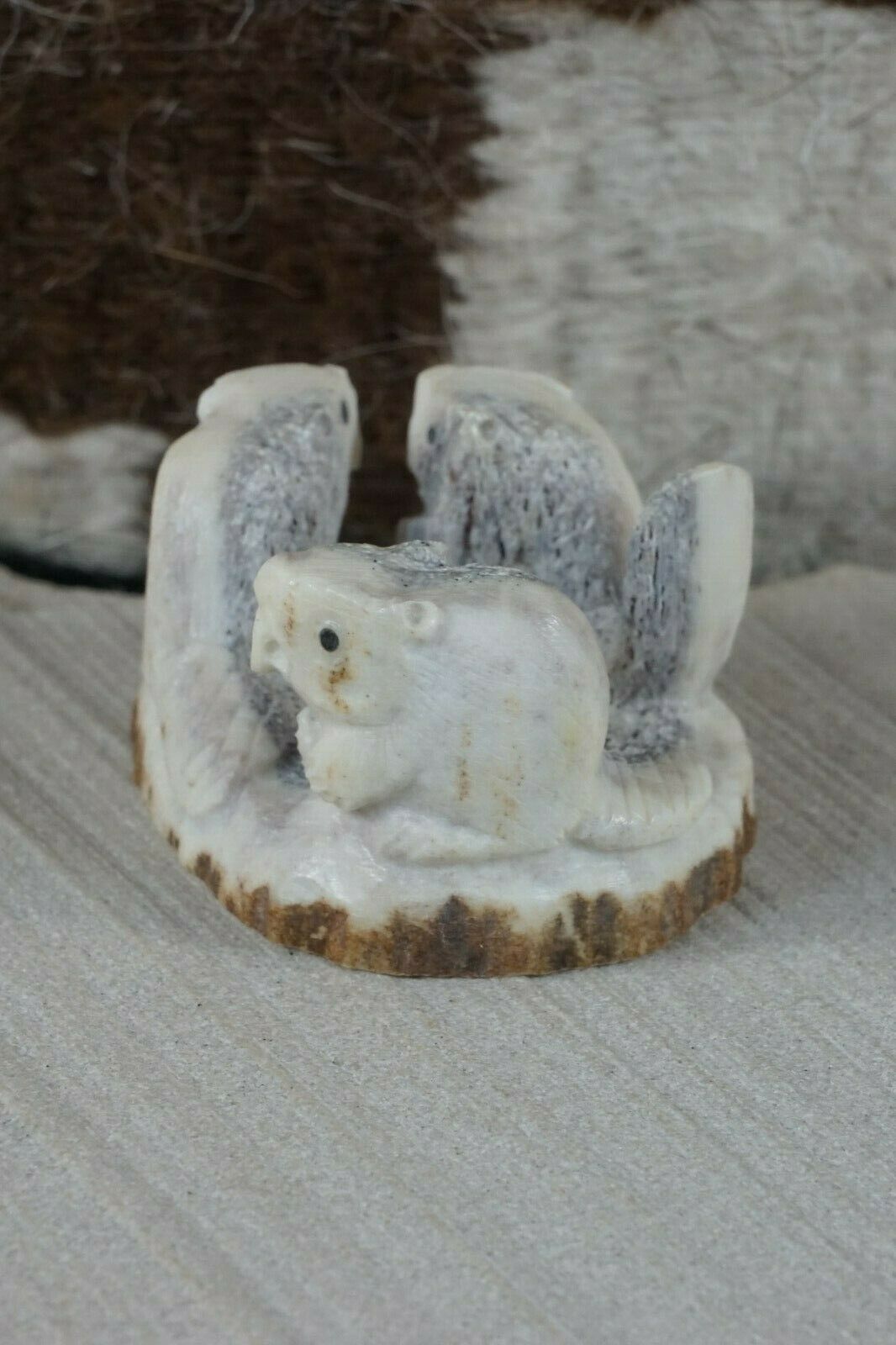 Beaver Zuni Fetish Carving - Maxx Laate - High Lonesome Trading