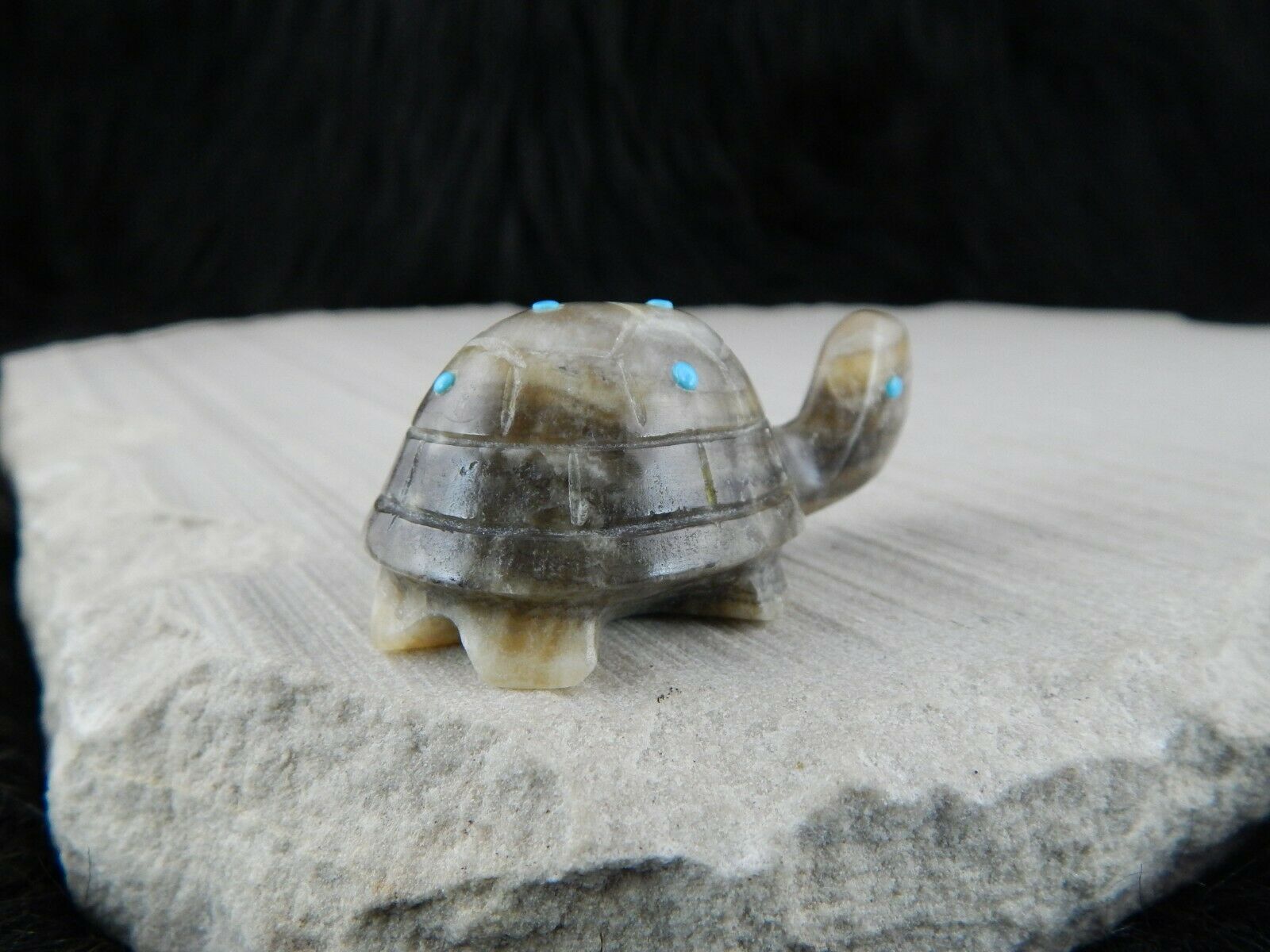 Turtle Zuni Fetish Carving - Ronnie Lunasee - High Lonesome Trading
