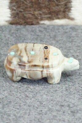 Turtle Zuni Fetish Carving - Taylor Gia - High Lonesome Trading