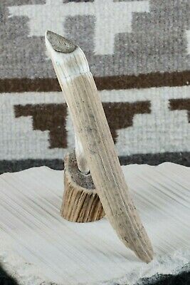 Bird Zuni Fetish Carving - Harvey Harker - High Lonesome Trading