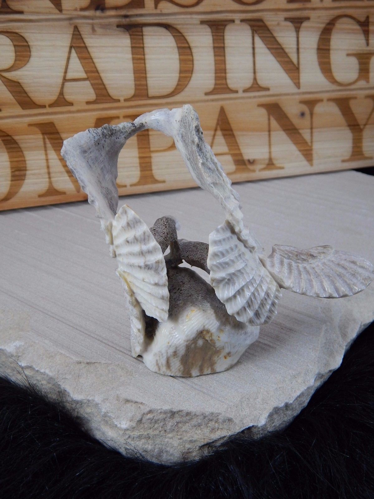 Eagle Zuni Fetish Carving - Jerrold Lahaleon - High Lonesome Trading