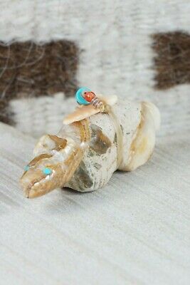 Bear Zuni Fetish Carving - Peter Gasper - High Lonesome Trading