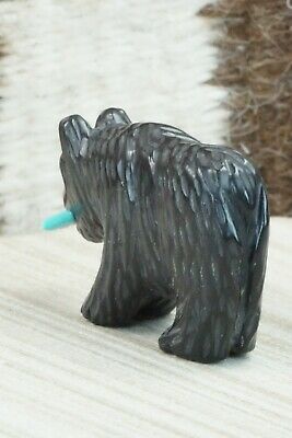 Bear Zuni Fetish Carving - Andres Quandelacy
