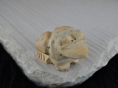 Frog Zuni Fetish Carving - Native American - High Lonesome Trading