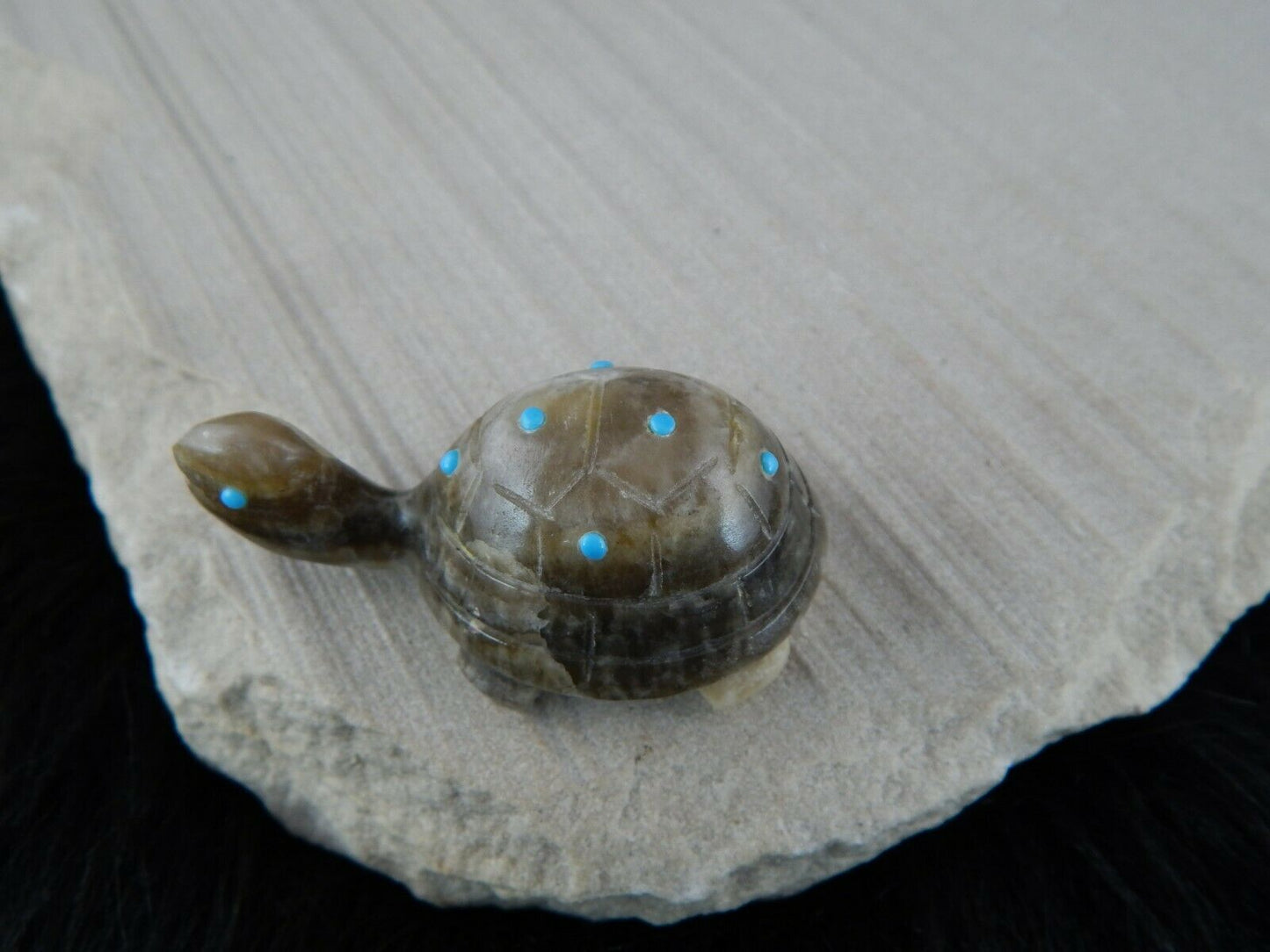 Turtle Zuni Fetish Carving - Ronnie Lunasee - High Lonesome Trading