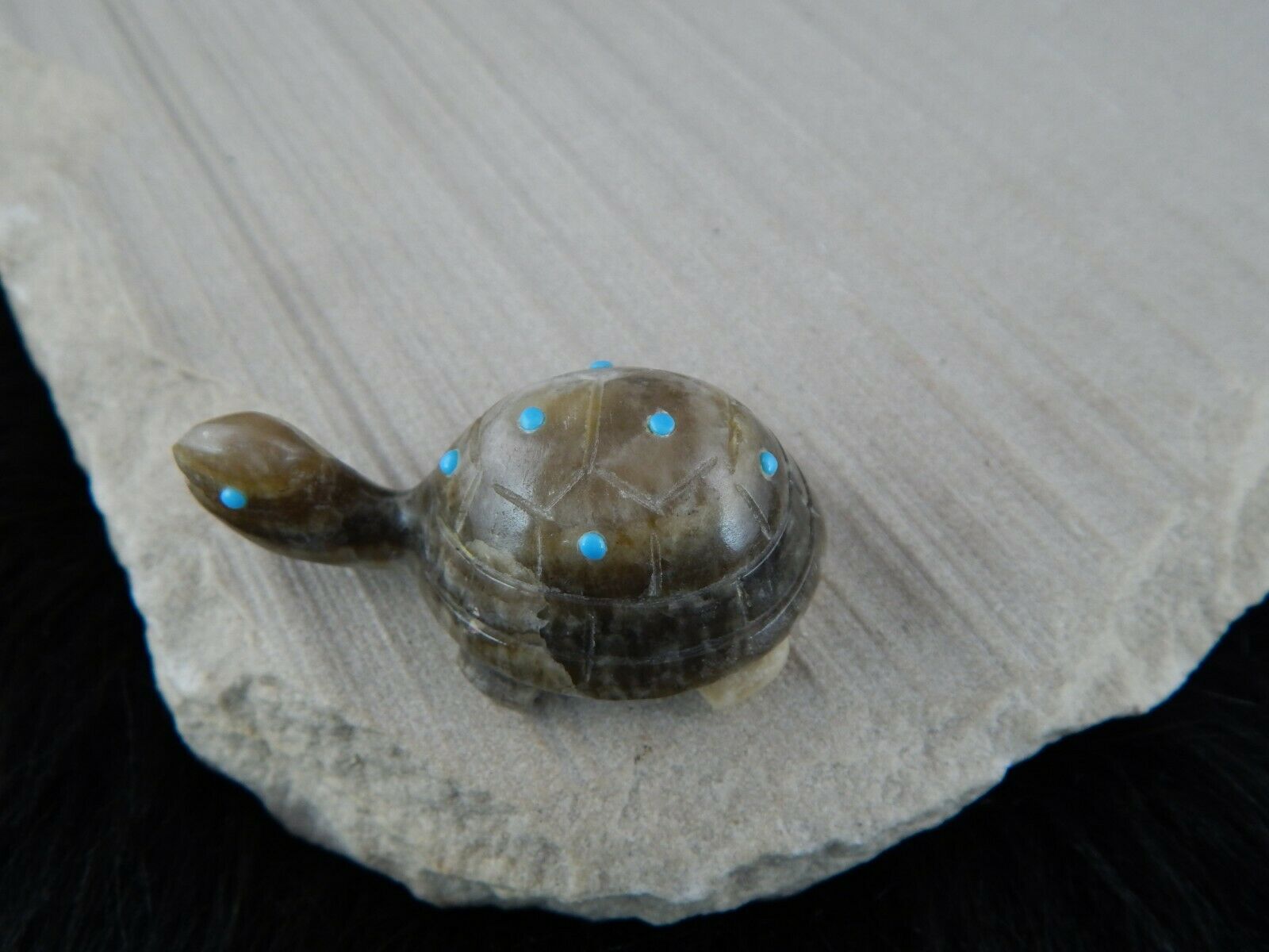 Turtle Zuni Fetish Carving - Ronnie Lunasee - High Lonesome Trading