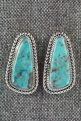 Turquoise & Sterling Silver Earrings - Annissa Martinez