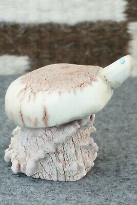 Turtle Zuni Fetish Carving - Harvey Harker