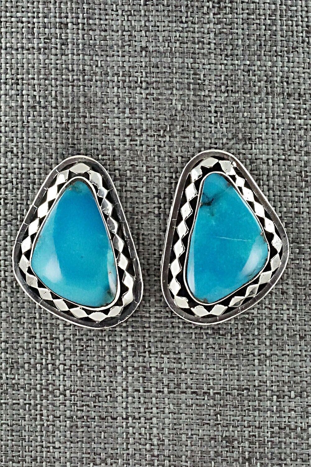 Turquoise and Sterling Silver Earrings - Sharon McCarthy