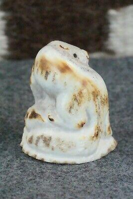 Otter Zuni Fetish Carving - Maxx Laate - High Lonesome Trading