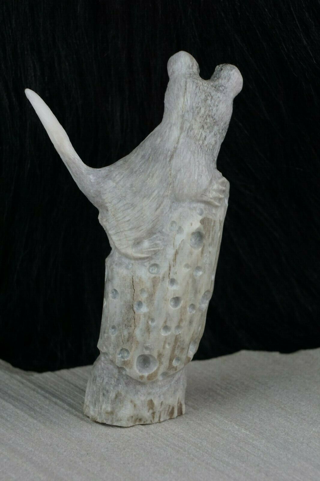 Mouse Zuni Fetish Carving - Maxx Laate - High Lonesome Trading
