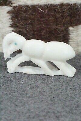 Ant Zuni Fetish Carving - Derrick Kaamasee - High Lonesome Trading