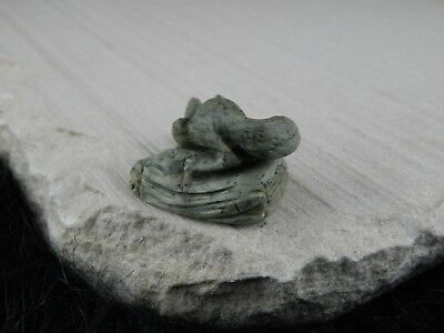 Wolf Zuni Fetish Carving - Wilfred Cheama - High Lonesome Trading