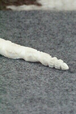 Snake Zuni Fetish Carving - Allison White