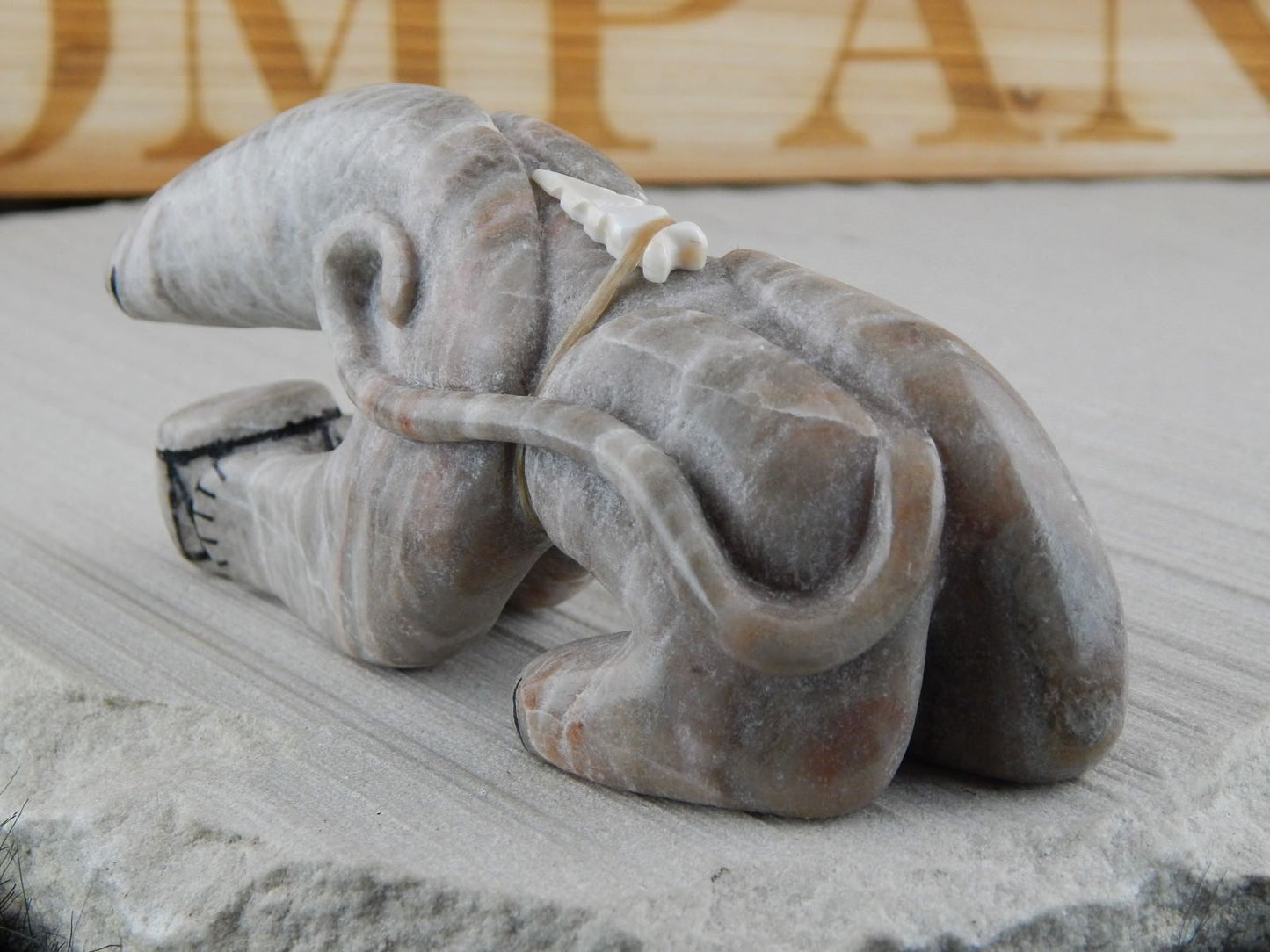 Bear Zuni Fetish Carving - Rick Kallestewa - High Lonesome Trading