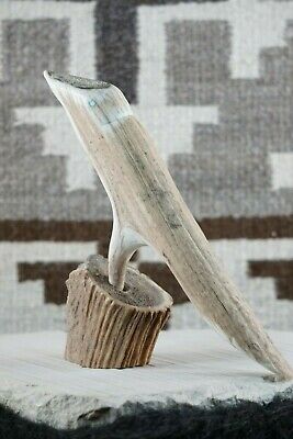 Bird Zuni Fetish Carving - Harvey Harker - High Lonesome Trading