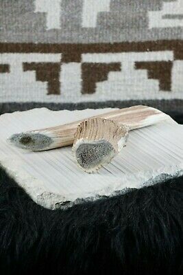 Bird Zuni Fetish Carving - Harvey Harker - High Lonesome Trading