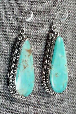 Turquoise and Sterling Silver Earrings - Brandon Belin