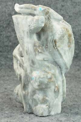 Wood Pecker Zuni Fetish Carving - Derrick Kaamasee