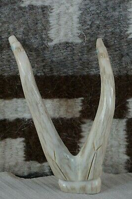 Bear Zuni Fetish Carving - Bernard Laiwakete - High Lonesome Trading