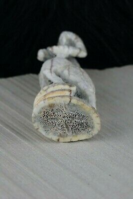Ram Zuni Fetish Carving - Jerrold Lahaleon - High Lonesome Trading