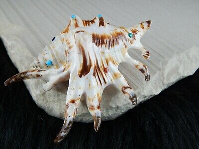 Sea Shell Zuni Fetish - Eric Lonjose - Zuni Sea Shell Carving - Native American - High Lonesome Trading