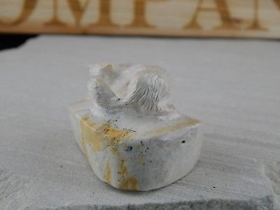 Coyote Zuni Fetish Carving - Sullivan Shebola - High Lonesome Trading
