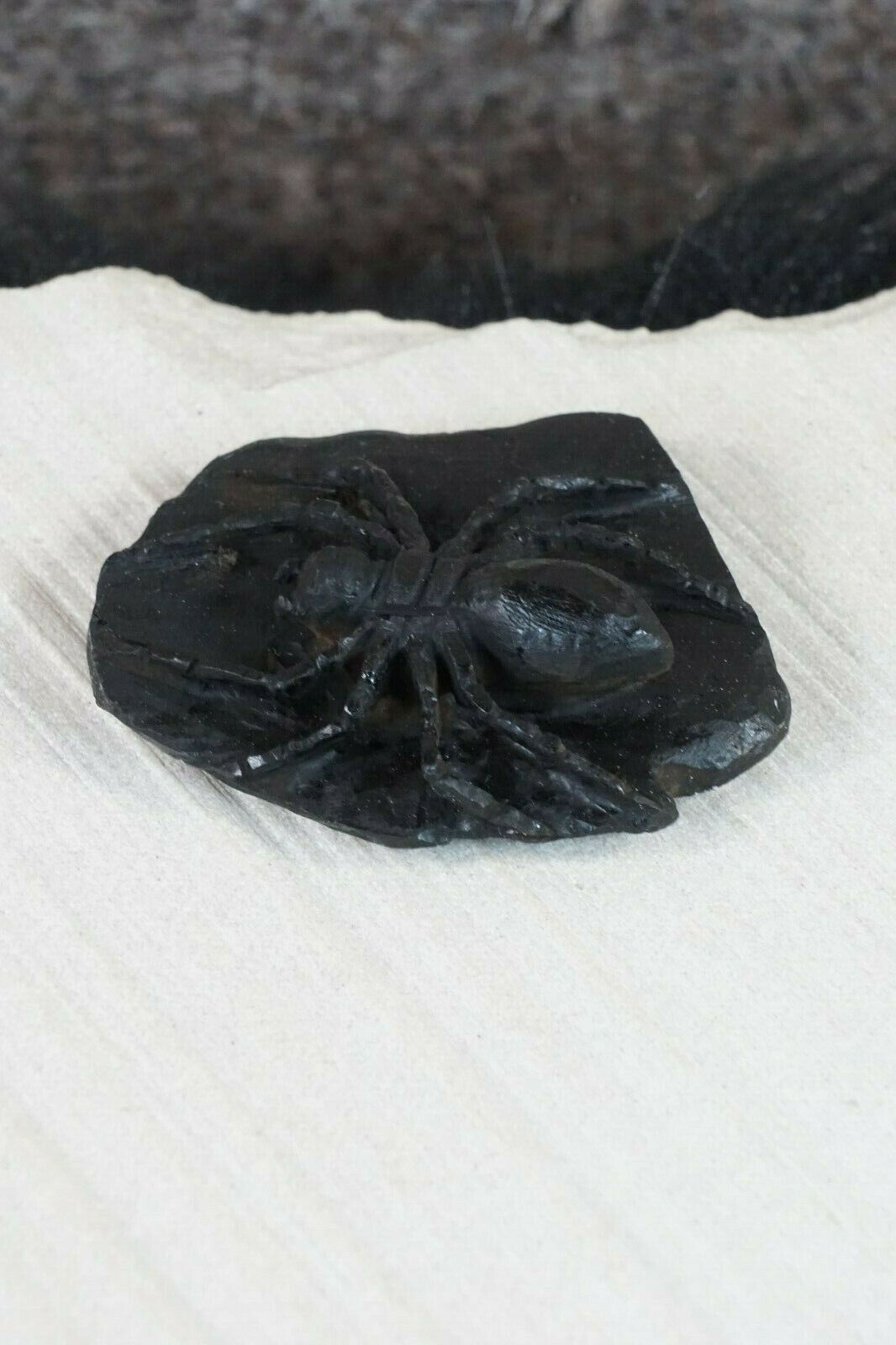 Spider Zuni Fetish Carving - Lewis Malie Jr - High Lonesome Trading