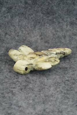 Dragonfly Zuni Fetish Carving - Justin Red Elk