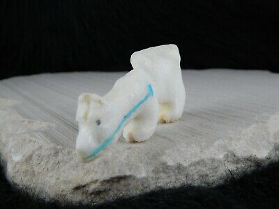 Mountain Lion Zuni Fetish Carving - Kevin Quam - High Lonesome Trading