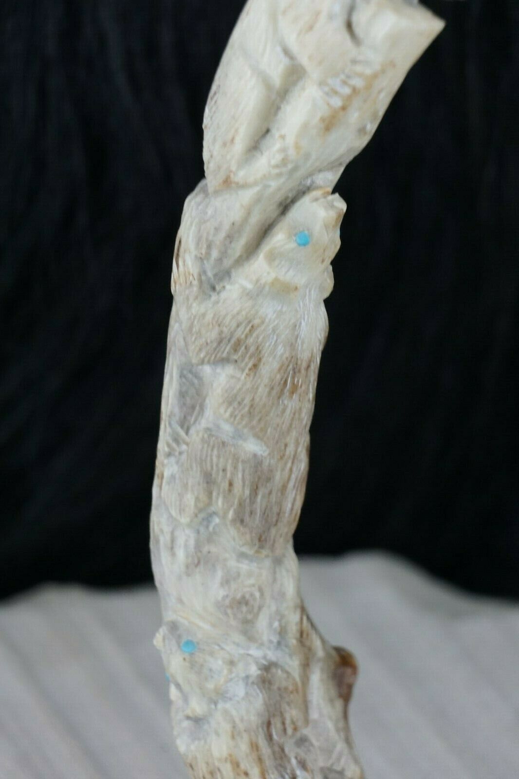 Bear Zuni Fetish Carving - Derrick Kaamasee - High Lonesome Trading