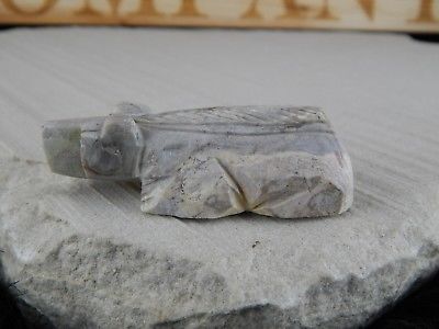 Bear Zuni Fetish Carving - Native American - High Lonesome Trading
