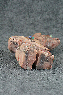 Bear Zuni Fetish Carving - Jon Quam