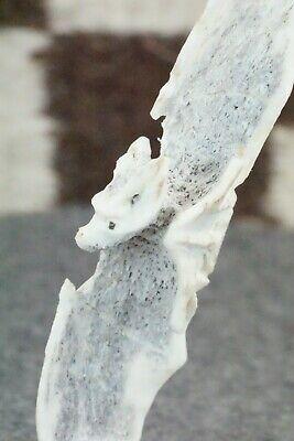 Bat Zuni Fetish Carving - Lewis Malie Jr. - High Lonesome Trading