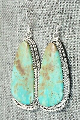 Turquoise & Sterling Silver Earrings - Sharon McCarthy